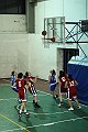 IMG_3937pallacanestro Roma